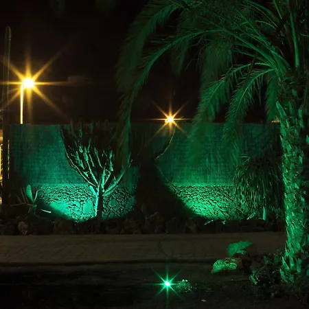 Laurisilva * קורלחו