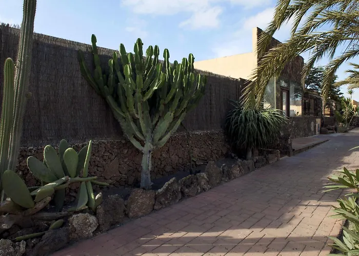 Laurisilva * קורלחו