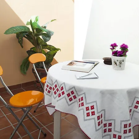 Laurisilva Corralejo