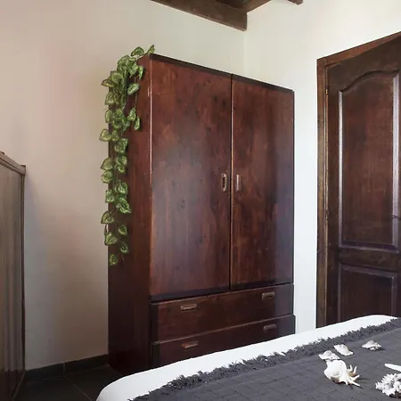 Laurisilva Corralejo