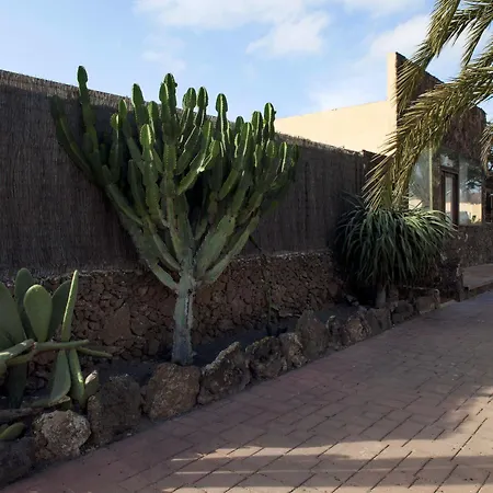 Laurisilva * Corralejo